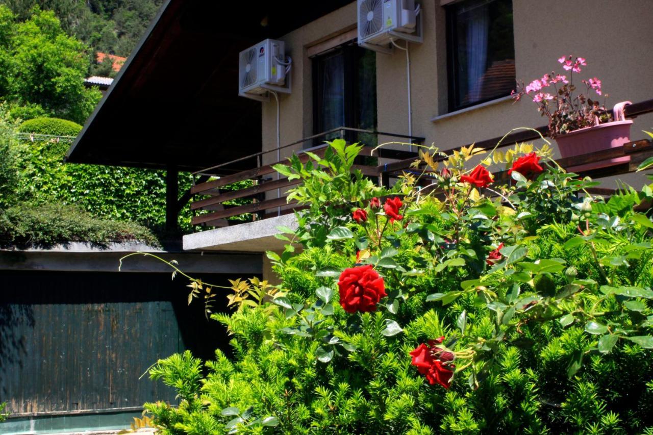 Na Kopitarjevi Hotel Laško Kültér fotó