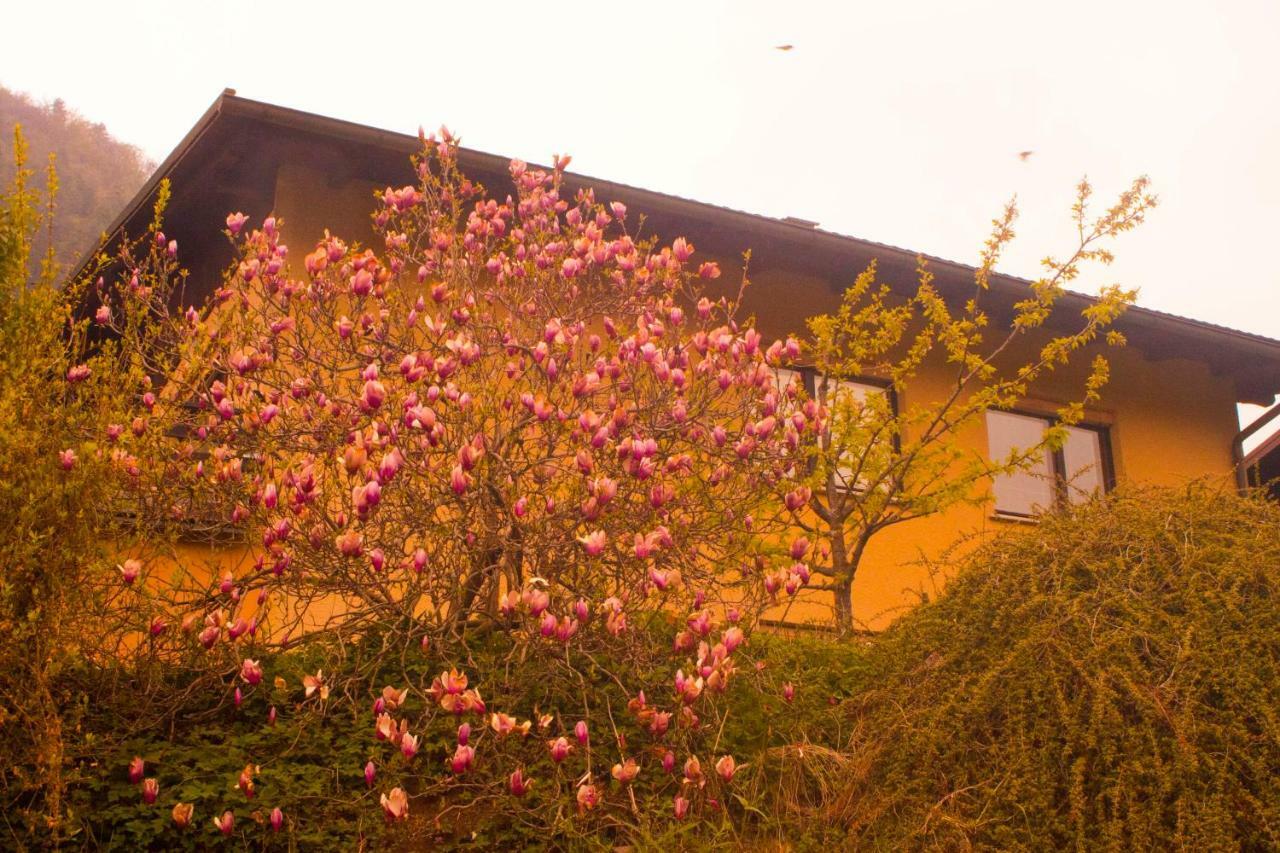 Na Kopitarjevi Hotel Laško Kültér fotó